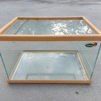 Terrario (Leggere la descrizione)