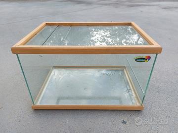 Terrario (Leggere la descrizione)