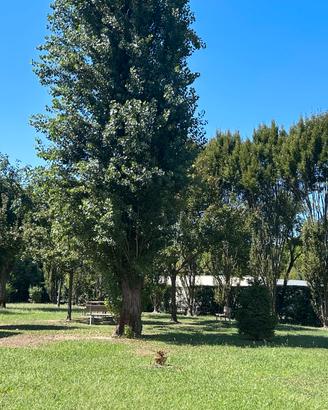Duplex, garage e posto auto, oasi verde crocifisso