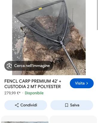 guadino fencl