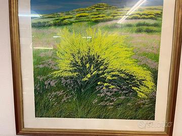 Franco azzinari litografia quadro