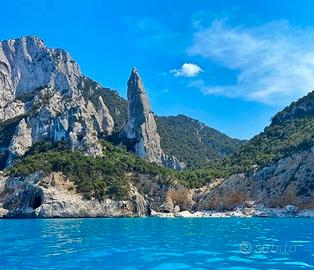 SardegnaGolfo Orosei mare+bello mondo Girasole OG