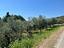 Immagine 18