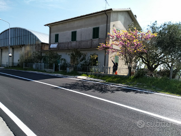 Abitazione singola con annesso terreno e ampio sco