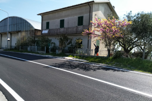 Abitazione singola con annesso terreno e ampio sco