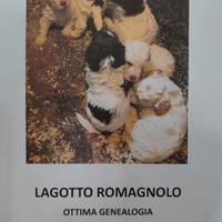 Cuccioli di Lagotto Romagnolo