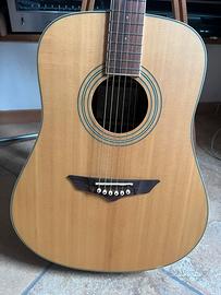 Chitarra acustica VGS