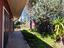 Immagine 11