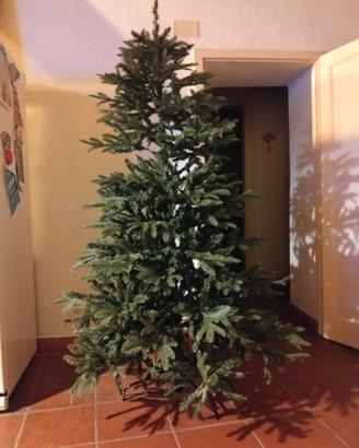 Albero di Natale 