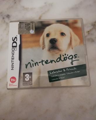 Videogiochi Nintendo DS