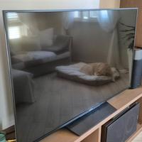 TV  Sony 4K 55 pollici