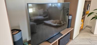 TV  Sony 4K 55 pollici