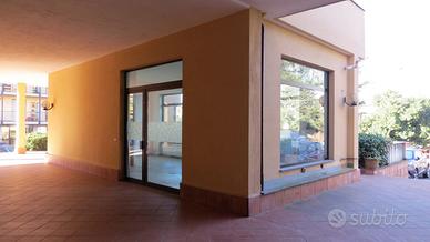 Negozio Trofarello [Cod. rif 3256792VCG]