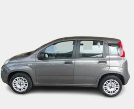 FIAT PANDA 1.2 69cv E6d-Temp Easy 5 PORTE