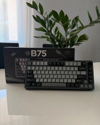 Yunzi B75 Tastiera meccanica 75% RGB Wireless
