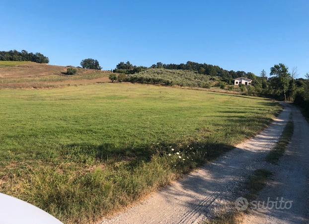 Terreno agricolo Alvignano investimento