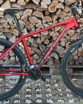 Mountain Bike Mondial 29"