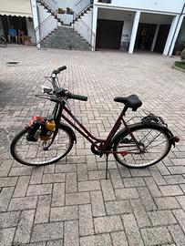 Bicicletta vintage con motore a scoppio