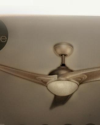 ventilatore a pale con luce