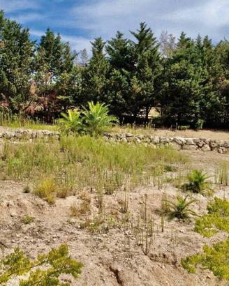 Terreno di 4000 m² a Canicattì