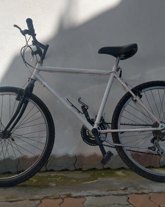 Mountain bike