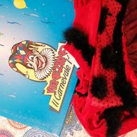 costume carnevale Coccinella Veneziano