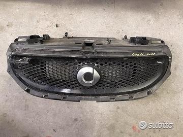 Mascherina - Griglia Anteriore Per Smart 2017