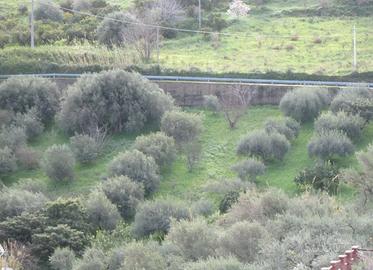 RGE 145/2012 Trib Patti - LOTTO 1