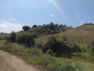 Terreno agricolo