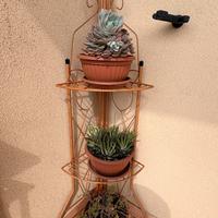 Portapiante Angolare in Ferro con 3 Piante Grasse