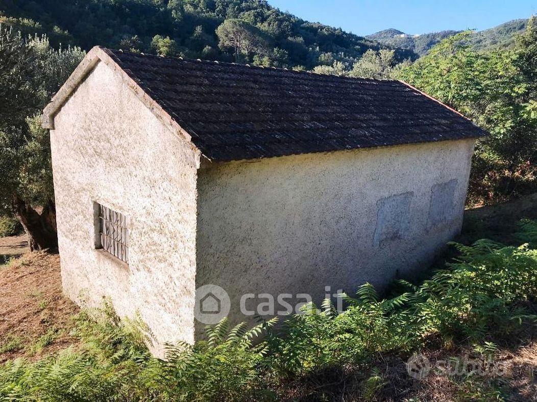 Rudere con 6.000 mt di terreno - Vista 3