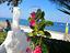 Immagine 22