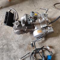 motore pit bike 