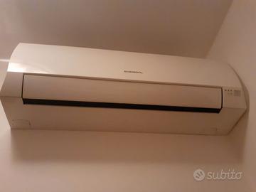 Climatizzatore termoconvettore