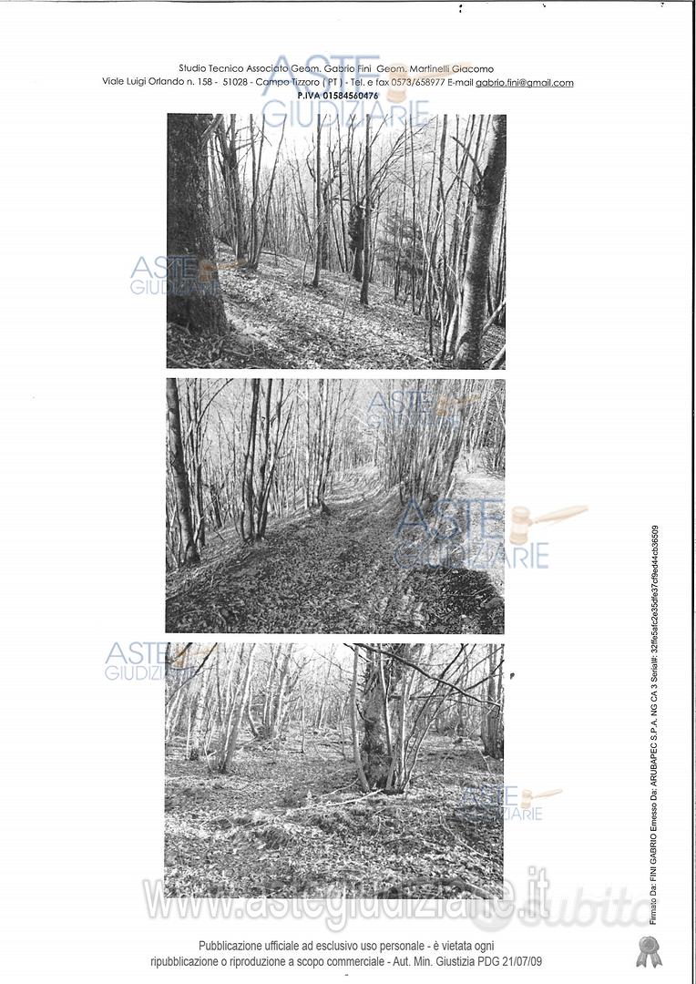 Terreno Agricolo Abetone Cutigliano [A4325054] - Vista 2