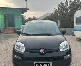 Fiat panda - 2019
