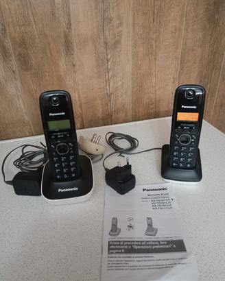Panasonic Duo Cordless Dect KX-TG1611JT