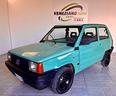 fiat-panda-900-i-e-cat-young