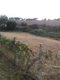 Terreno edificabile