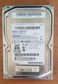 Hard Disk Interno Samsung da 500 GB