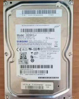 Hard Disk Interno Samsung da 500 GB