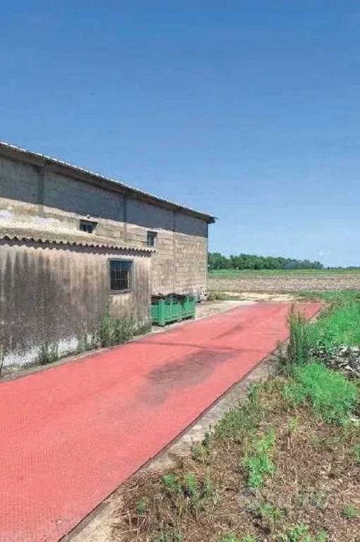 Immobile in asta di 289311 m² a Codigoro - Vista 3