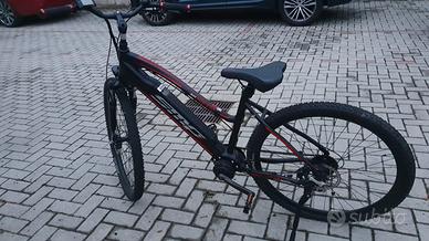 Bici elettrica MTB