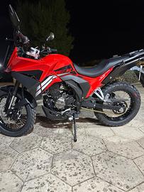 Rieju Aventura 125 Trial in HFP MOTORS MONOPOLI