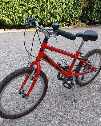 Bicicletta 20
