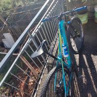 MTB focus in carbonio 29