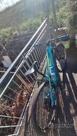 MTB focus in carbonio 29