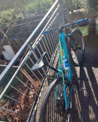 MTB focus in carbonio 29