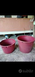 Tini per uva 230 e 350 litri