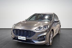 FORD Kuga - Kuga 1.5 ecoblue ST-Line 2wd 120cv